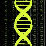 Для чего нужны тесты ДНК?