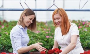 Как выбрать идеальную теплицу из поликарбоната?
